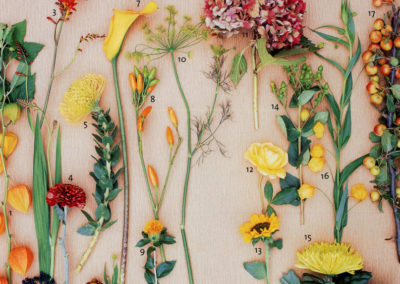 flower design rattiflora