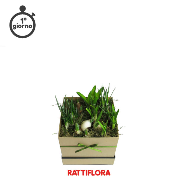 Florabox_Spring_mix2_rattiflora_01A_02
